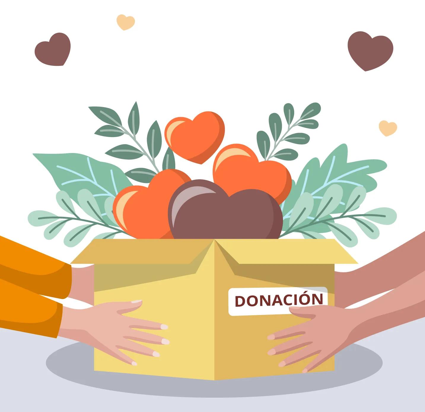 Donaciones a una ONG: ¿cuáles son los tipos más comunes?