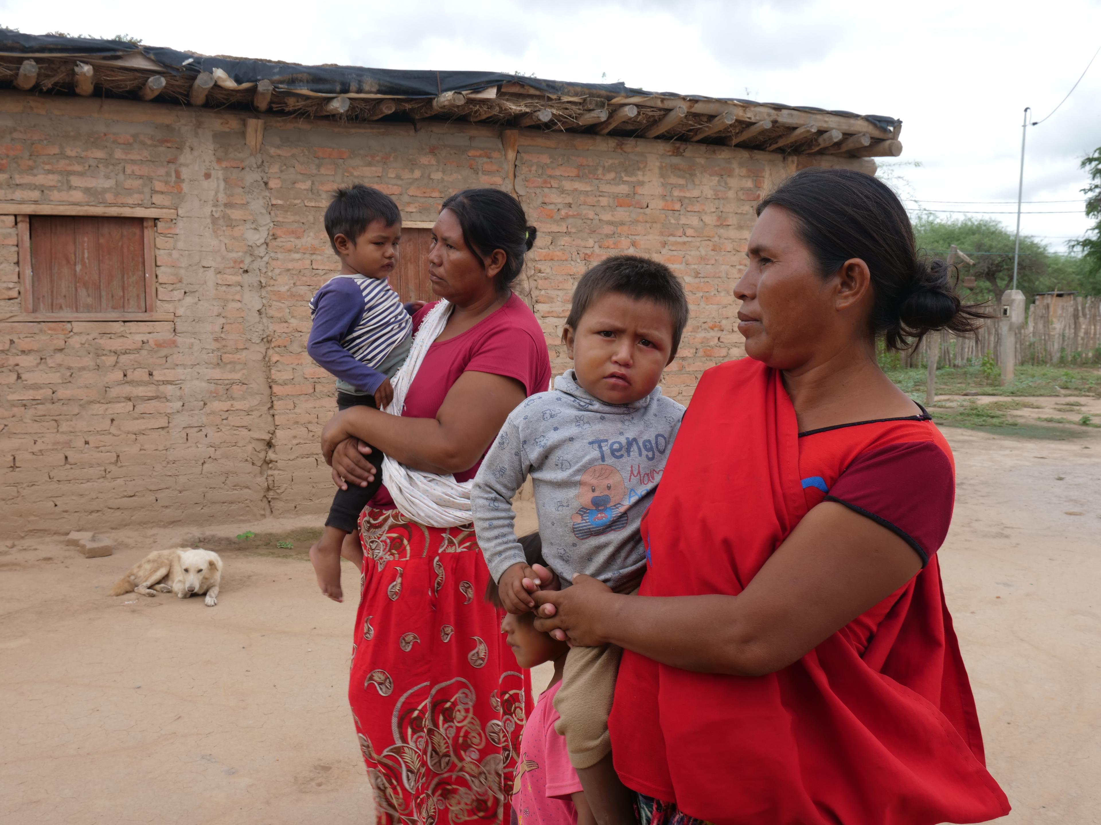 Cambio drástico en los hábitos alimenticios: 10 millones de niños en Argentina reducen el consumo de carne y lácteos